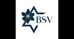 bsv rgb deliverables abbreviated logo